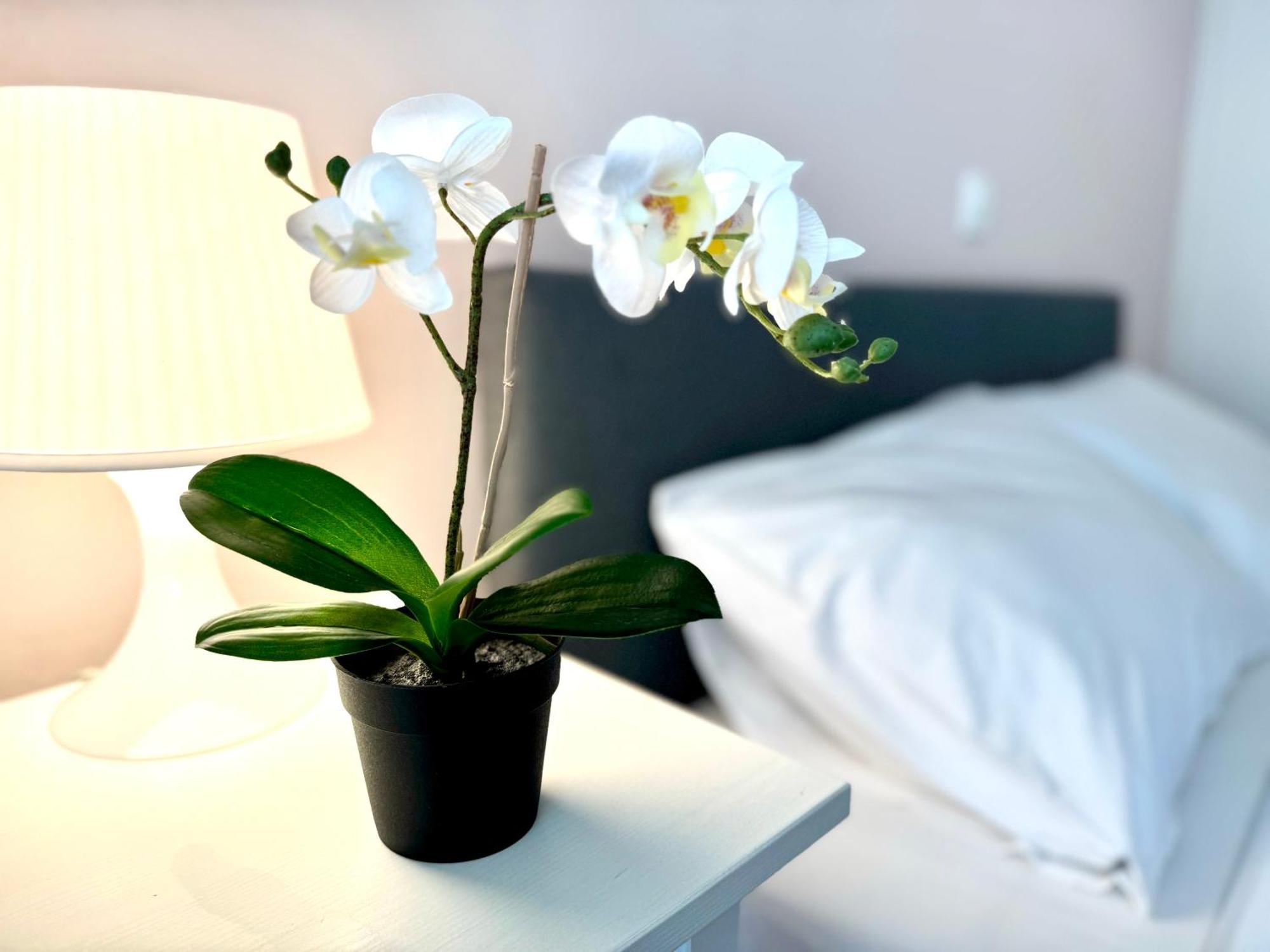 Sun Beach Apartment Anavyssos Buitenkant foto
